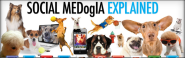 Social Media Explained By Dogs? [Infographic]