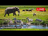 Live Webcam from Kenya - Voi Wildlife Lodge Tsavo