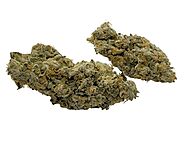 Togo Weed - Your Trusted Source for Exclusive Cannabis Strains