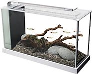 Fluval Spec V Aquarium Kit, 5-Gallon, White