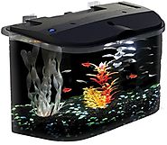 KollerCraft Aquarius Aquarium Kit with LED Lighting and Internal Power Filter, 5-Gallon