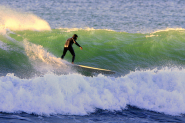 Content Marketing: Riding the Wave