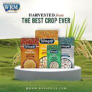 The Pinnacle of Rice Exportation: Journey as Highest Volume Exporter in Pakistan | MediUpdates