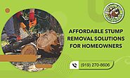 Get Rid of Stubborn Stumps with Top Removal Services