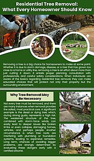 Residential Tree Removal: What Every Homeowner Should Know