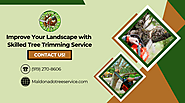 Get a Trusted Tree Trimming Service Team for Your Needs!