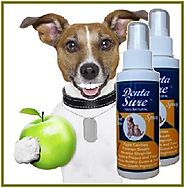 DentaSure All-Natural Oral Care Spray for Dogs and Cats - Buy 1 Get 1 Sale