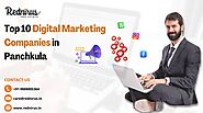 Best Digital Marketing Company in Panchkula