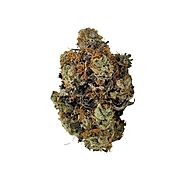 Experience the Best Indica Bud at Togo Weed – Your Cannabis Experts