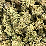 Where Convenience Meets Cannabis Excellence - Online Dispensary - Togo Weed