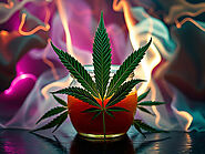 Why High Voltage Sauce is a Game-Changer in the Cannabis Industry – Togo Weed