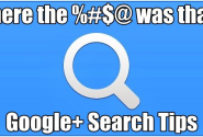 Search tips within Google Plus