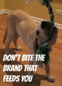 Don't Bite the Brand That Feeds You