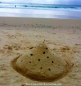 Beach Notes: Not Your Average Sand Castle