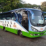 Why Sports Fans in Malaysia Choose Mini Bus Rentals for Biggest Events