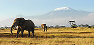 Charity Trek Kilimanjaro