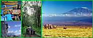 Adventure Trip to The Wildness of Mount Kilimanjaro