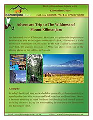 Some Attractive Destinations Like Kilimanjaro Climb