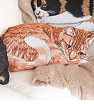 Cat Shaped Pillows