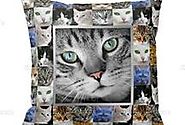 Cat Lover Gifts (catlovergifts)
