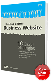 Better Business Websites book.