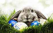 Happy Easter Photos 2016 | Happy Easter 2016 Pictures