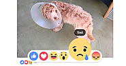 Facebook Enhances Everyone’s Like With Love, Haha, Wow, Sad, Angry Buttons