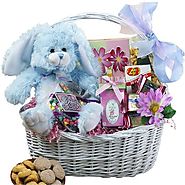 Art of Appreciation Gift Baskets My Special Bunny Easter Basket, Blue or Purple Plush Rabbit