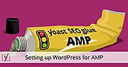 Setting up WordPress for AMP: Accelerated Mobile Pages • Yoast