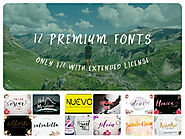 12 Premium Fonts for only $24 with extended license