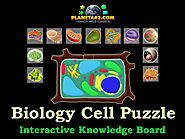 How I learned the Cell Structure with Collectible Biology Games.