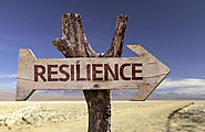 Academic Resilience and the Four Cs: Confidence, Control, Composure, and Commitment