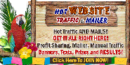 Hot Website Traffic