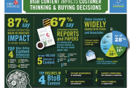B2B Content Marketing Report - Need To Focus On The Basics