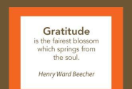 Gratitude: It's Not Just For Thanksgiving