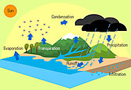 The Simplified Water Cycle