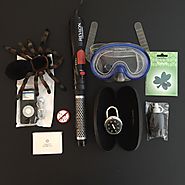 The minimalist game. Day 5. 5 items each 10 total. highlighted item remote control black widow spider.