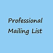 Professionals Email List