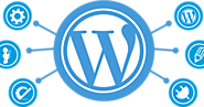 Know How Custom WordPress Development Can Be the First Choice for Your Online Business