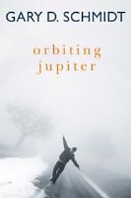 Orbiting Jupiter by Gary Schmidt