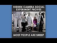 Hidden Camera Social Experiment Proves Most People Are Sheep