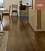 Your Local Floor Sanding Specialists in London