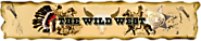 Wild West Cowboy Facts