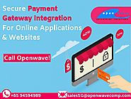 Payment Gateway Providers for E-Commerce Website in Singapore