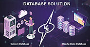 Custom vs. Ready-Made Database Solutions: Which One is Right for Your Business? ๐ค๐ก