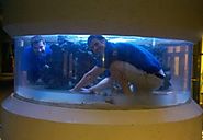 Aquariums Cleaning, Water Change