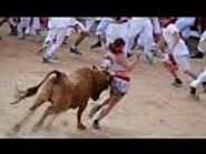 Funny video Of Funny crazy bull fails