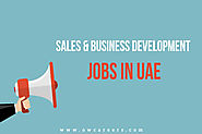 Sales and Business Development Jobs in UAE