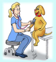 You keep checking your dog’s blood pressure