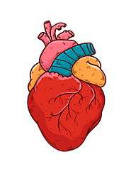 Cardiac Care in India - heart specialists surgeons | cardiologist